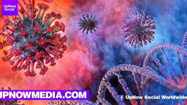 coronavirus all you need to know about symptoms and risks v1