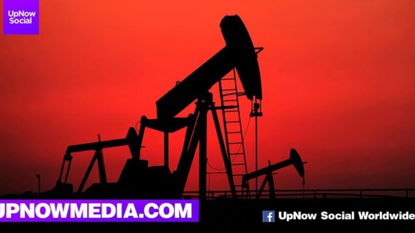 Crude oil falls below US$0.01