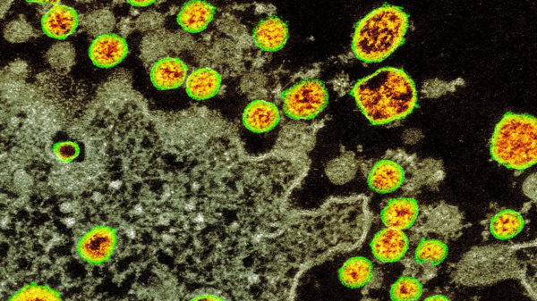 coronavirus close up